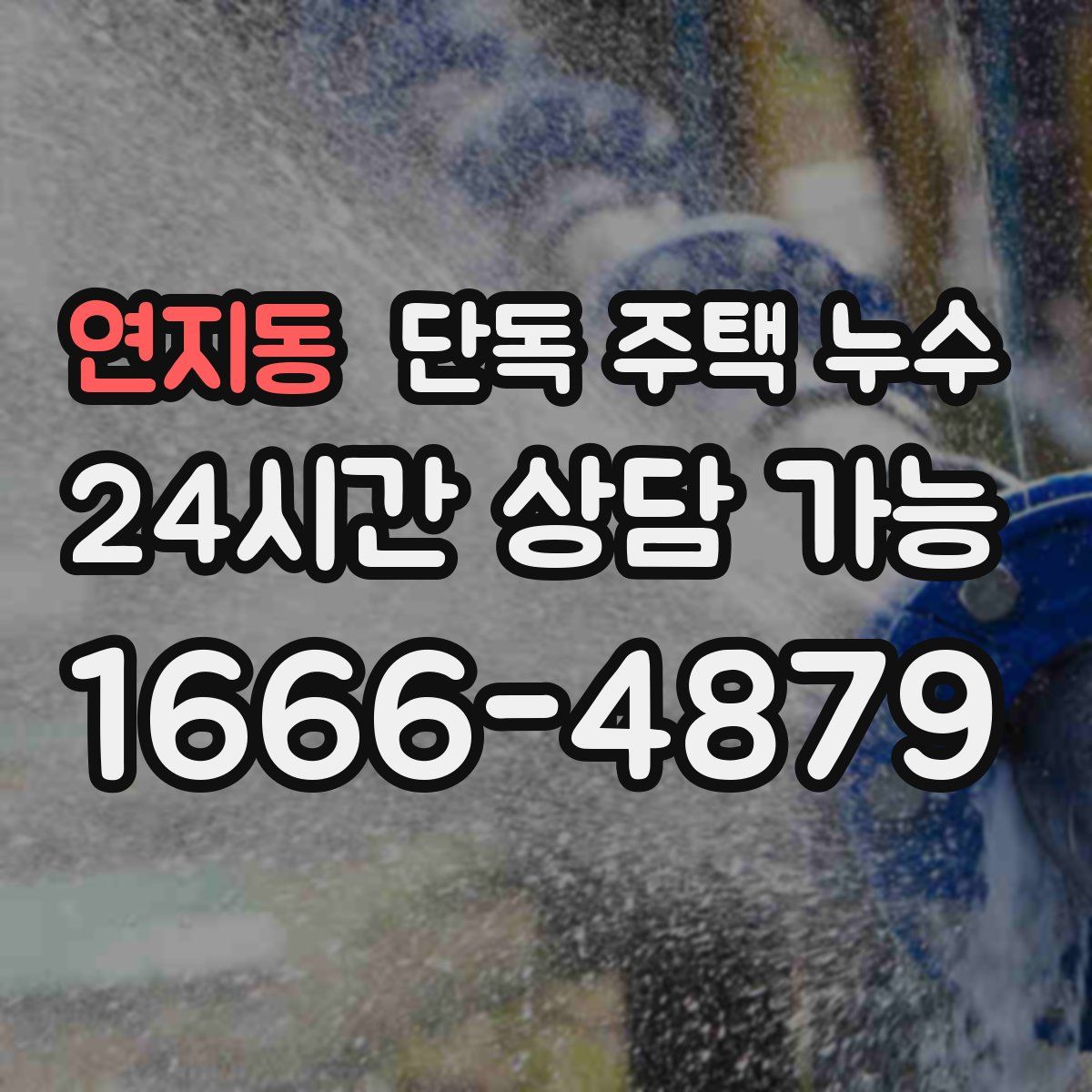 연지동 단독 주택 누수