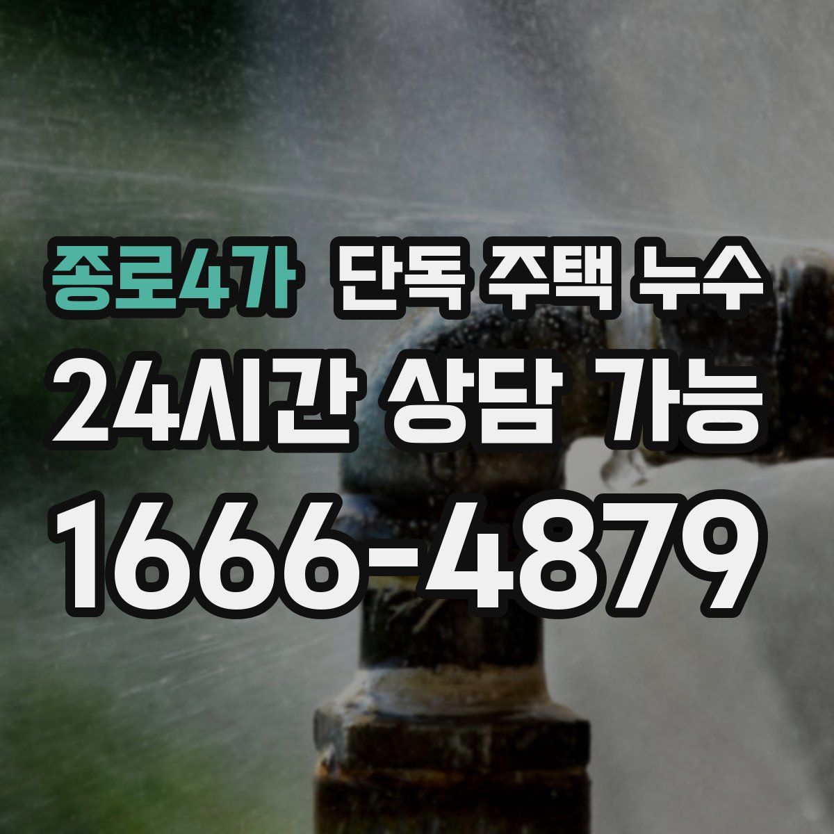 종로4가 단독 주택 누수