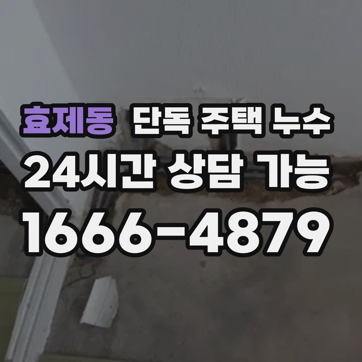 효제동 단독 주택 누수