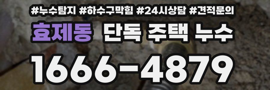 효제동 단독 주택 누수