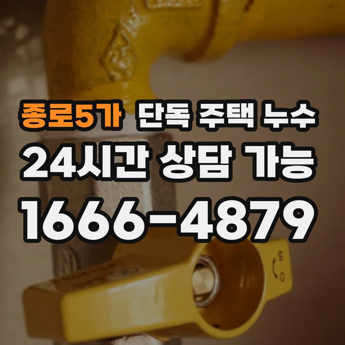 종로5가 단독 주택 누수