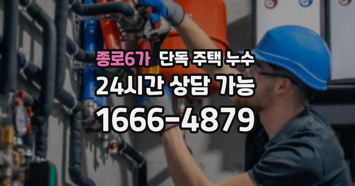 종로6가 단독 주택 누수