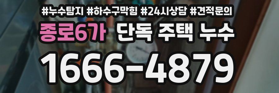 종로6가 단독 주택 누수