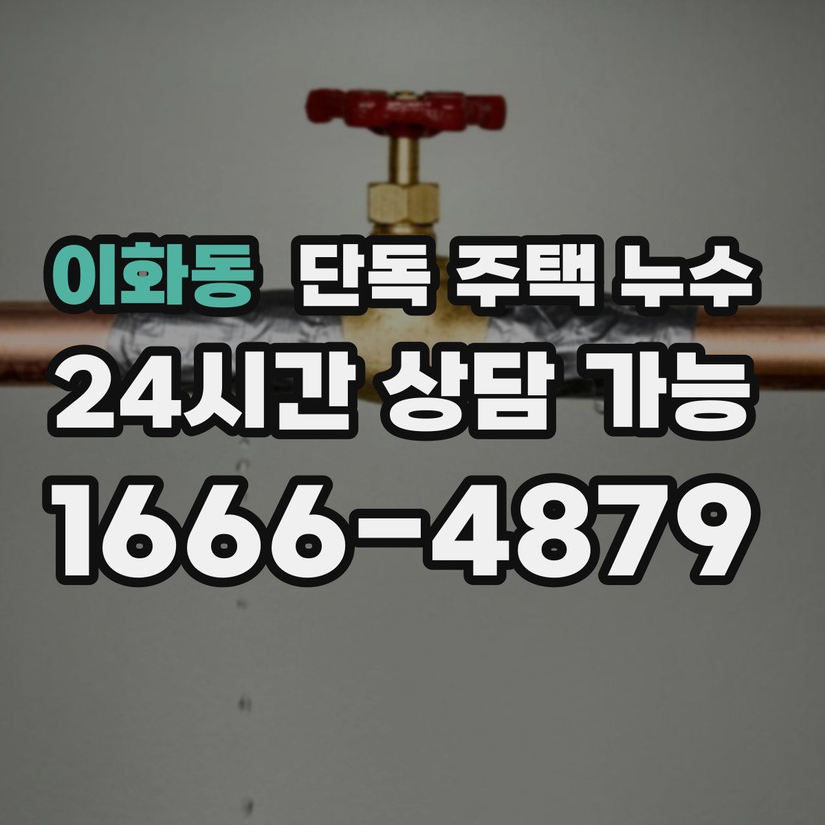 이화동 단독 주택 누수