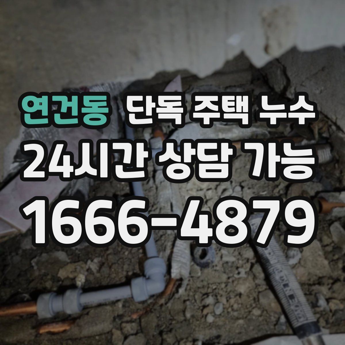 연건동 단독 주택 누수 외부 수도관 노후로 생기는 문제