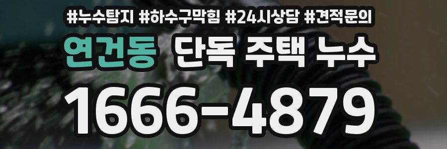 연건동 단독 주택 누수