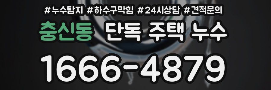 충신동 단독 주택 누수