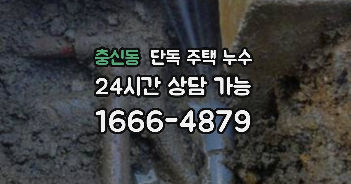 충신동 단독 주택 누수