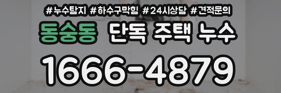 동숭동 단독 주택 누수