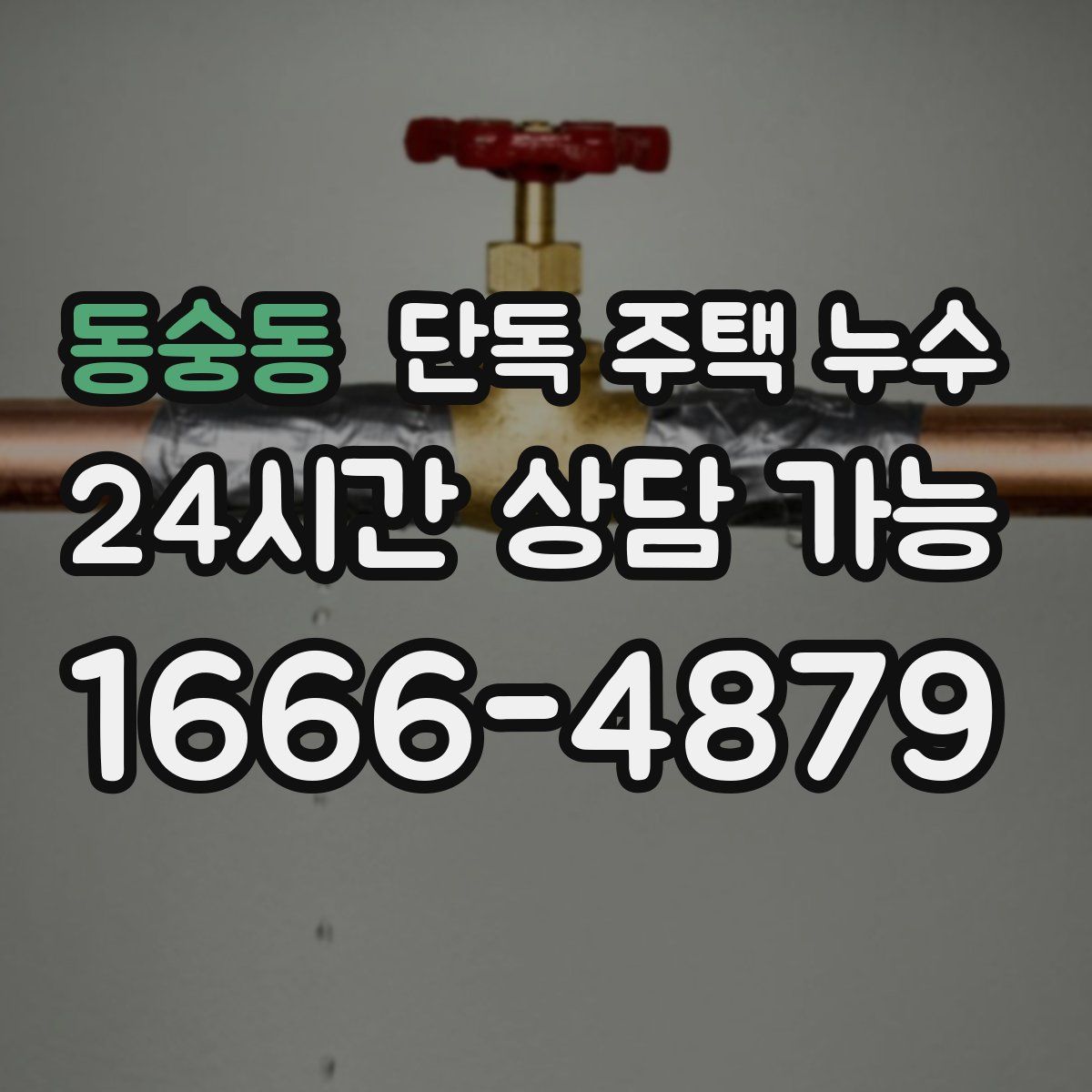 동숭동 단독 주택 누수