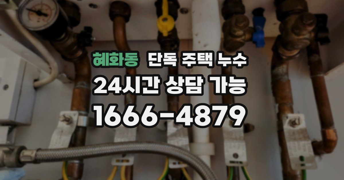 혜화동 단독 주택 누수