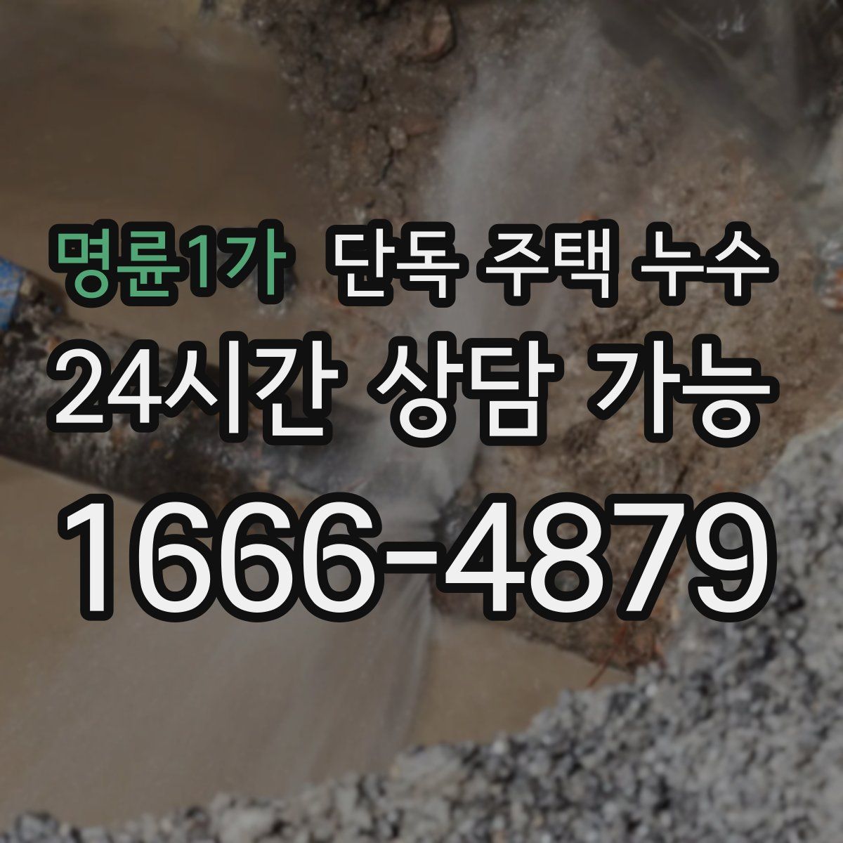 명륜1가 단독 주택 누수