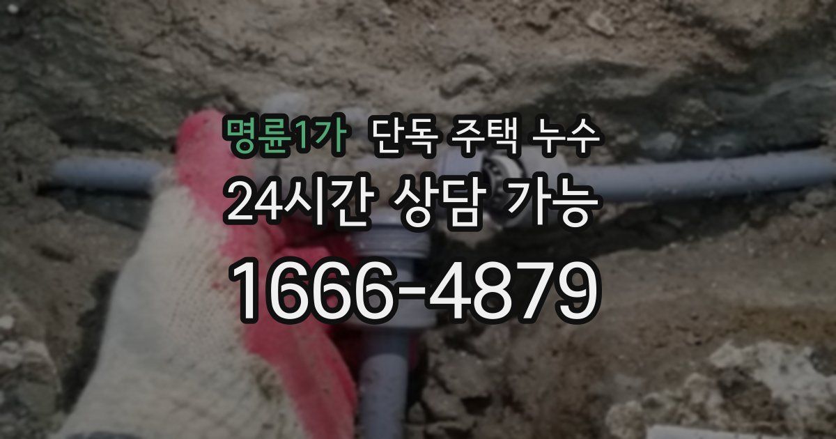 명륜1가 단독 주택 누수