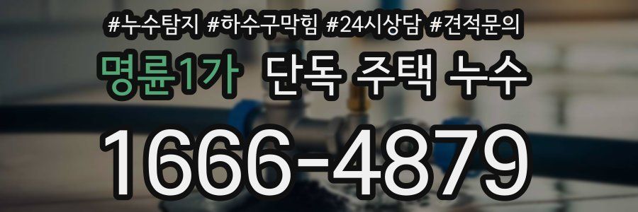 명륜1가 단독 주택 누수