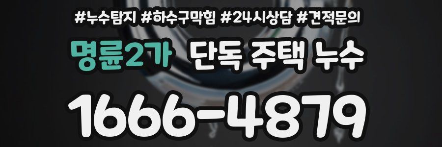 명륜2가 단독 주택 누수