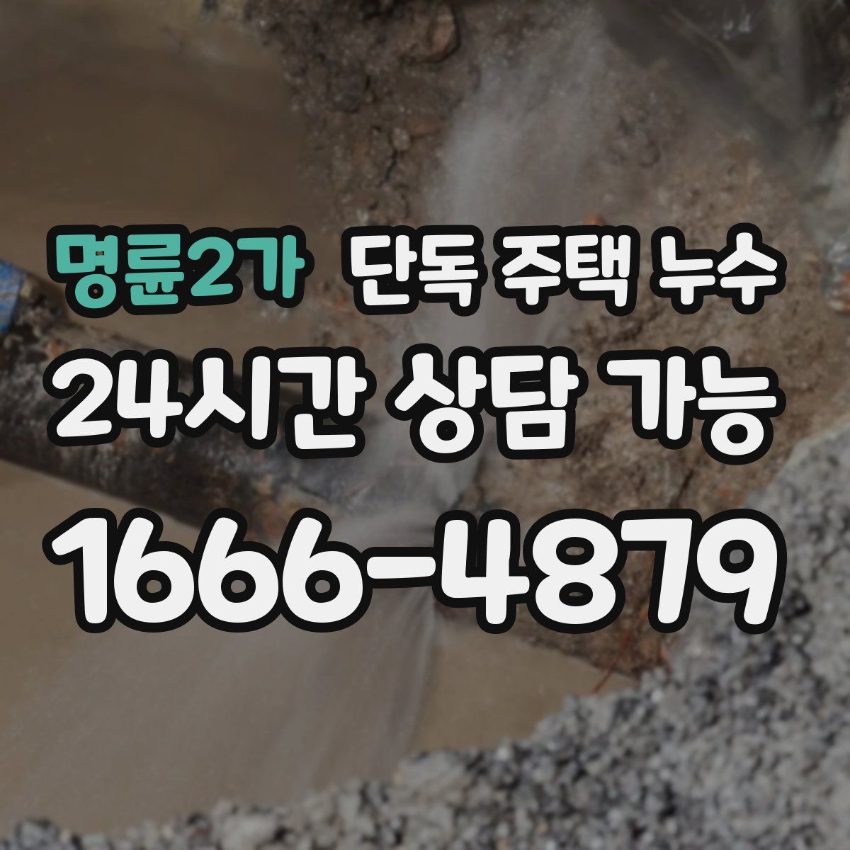 명륜2가 단독 주택 누수