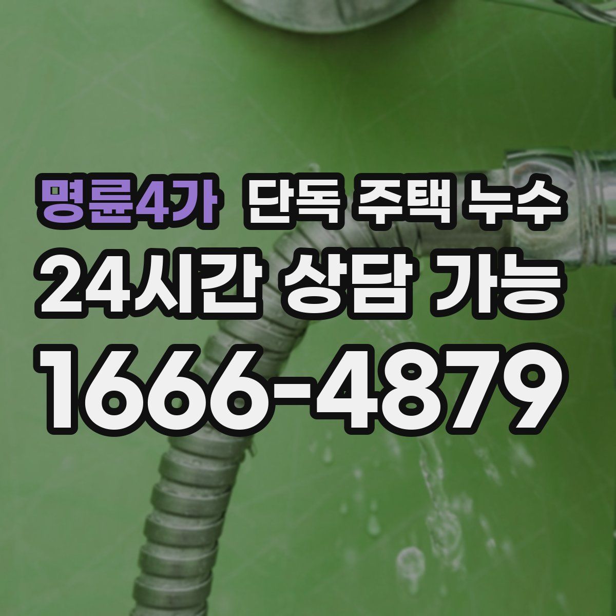 명륜4가 단독 주택 누수