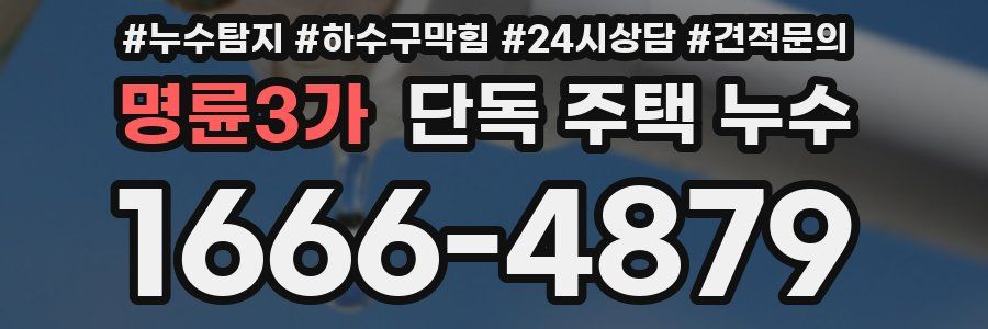 명륜3가 단독 주택 누수