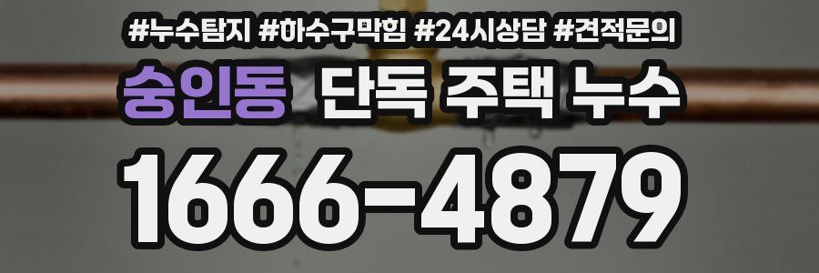 숭인동 단독 주택 누수