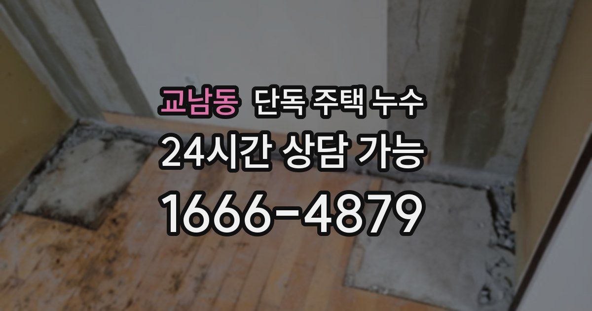 교남동 단독 주택 누수