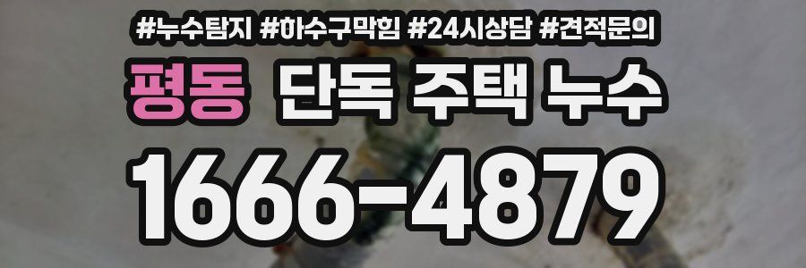 평동 단독 주택 누수