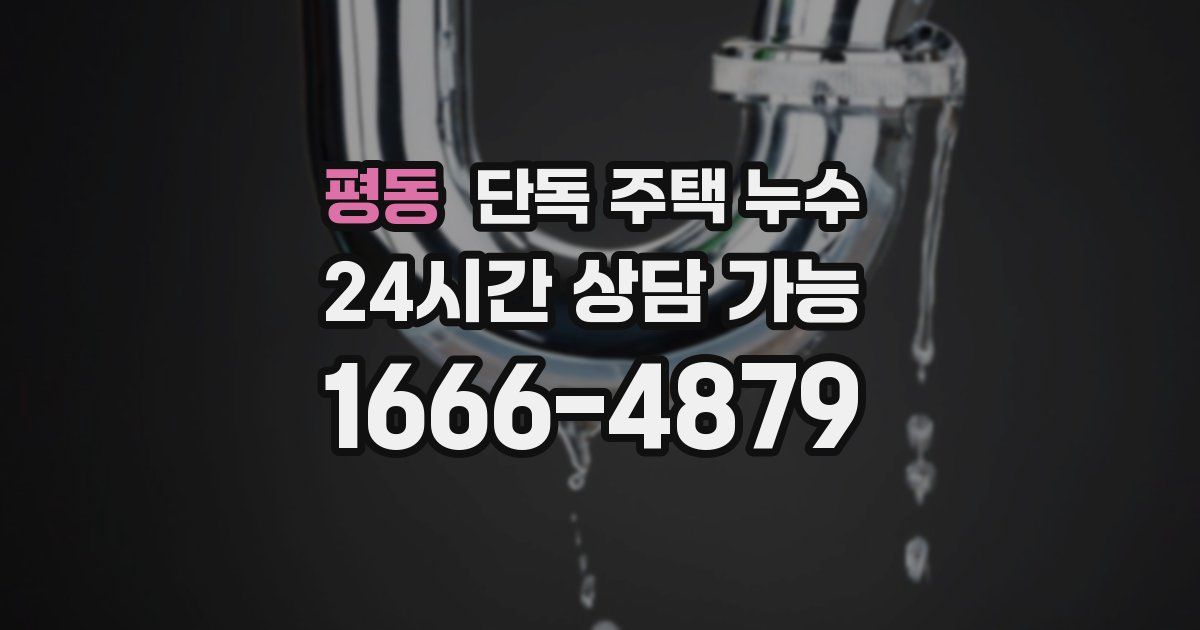 평동 단독 주택 누수