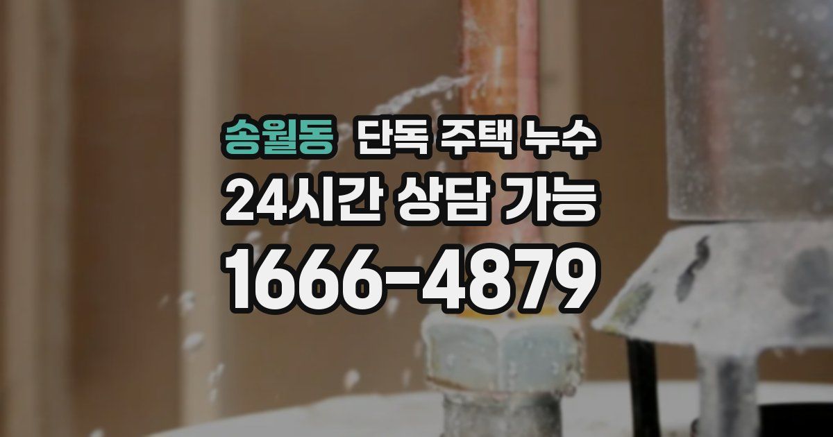 송월동 단독 주택 누수