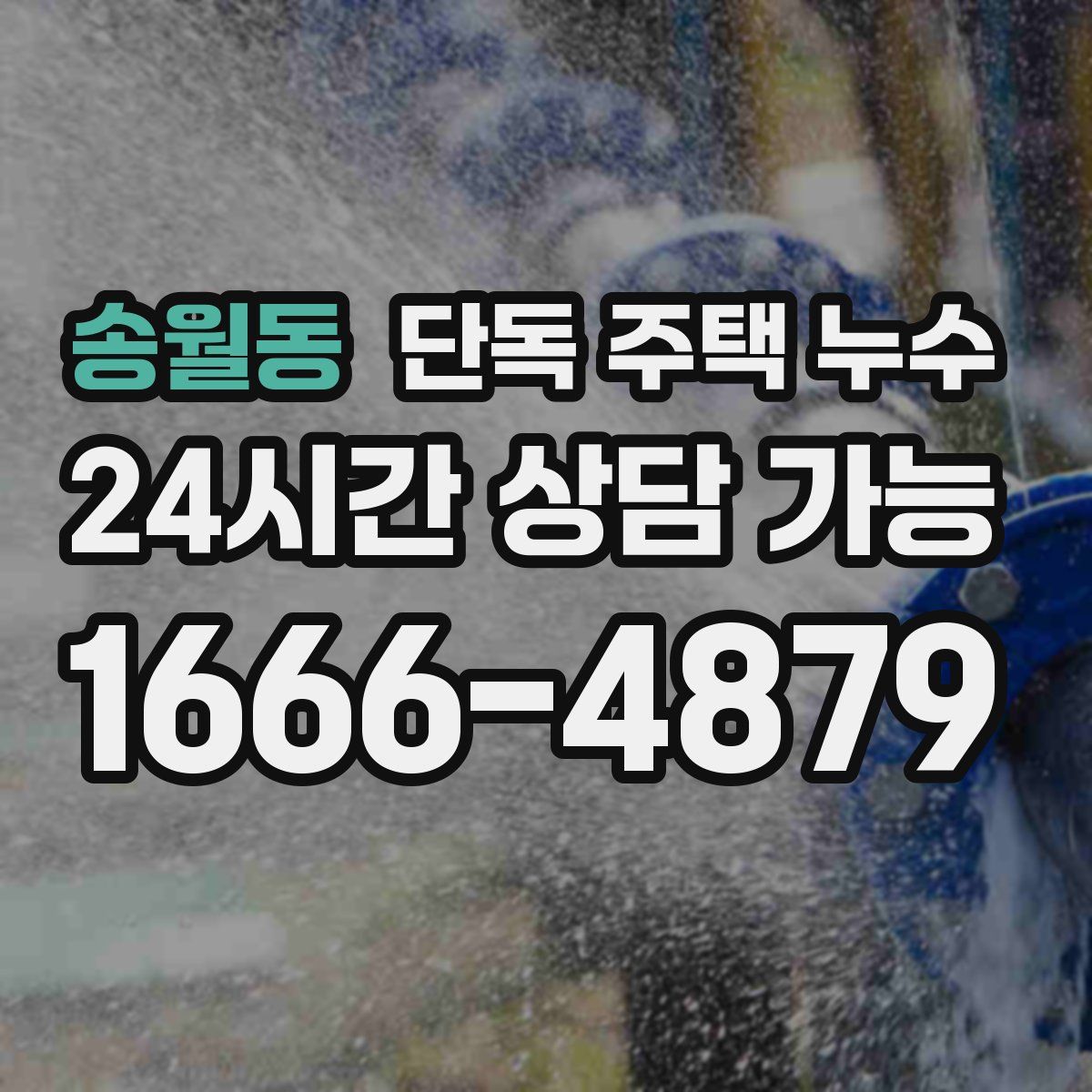 송월동 단독 주택 누수