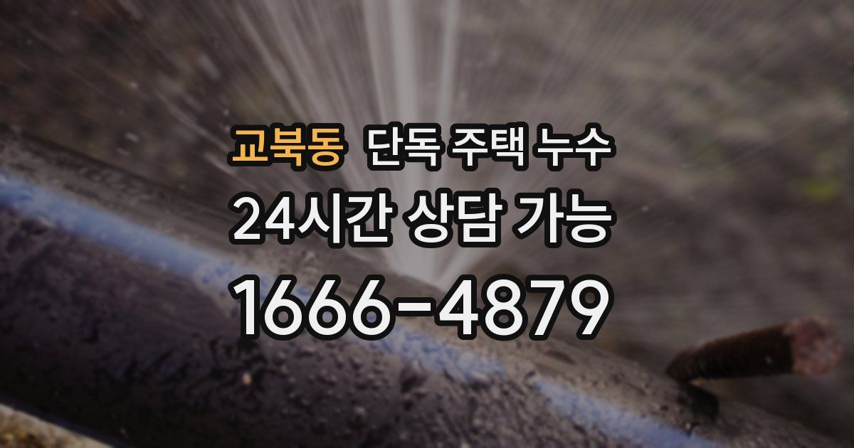 교북동 단독 주택 누수