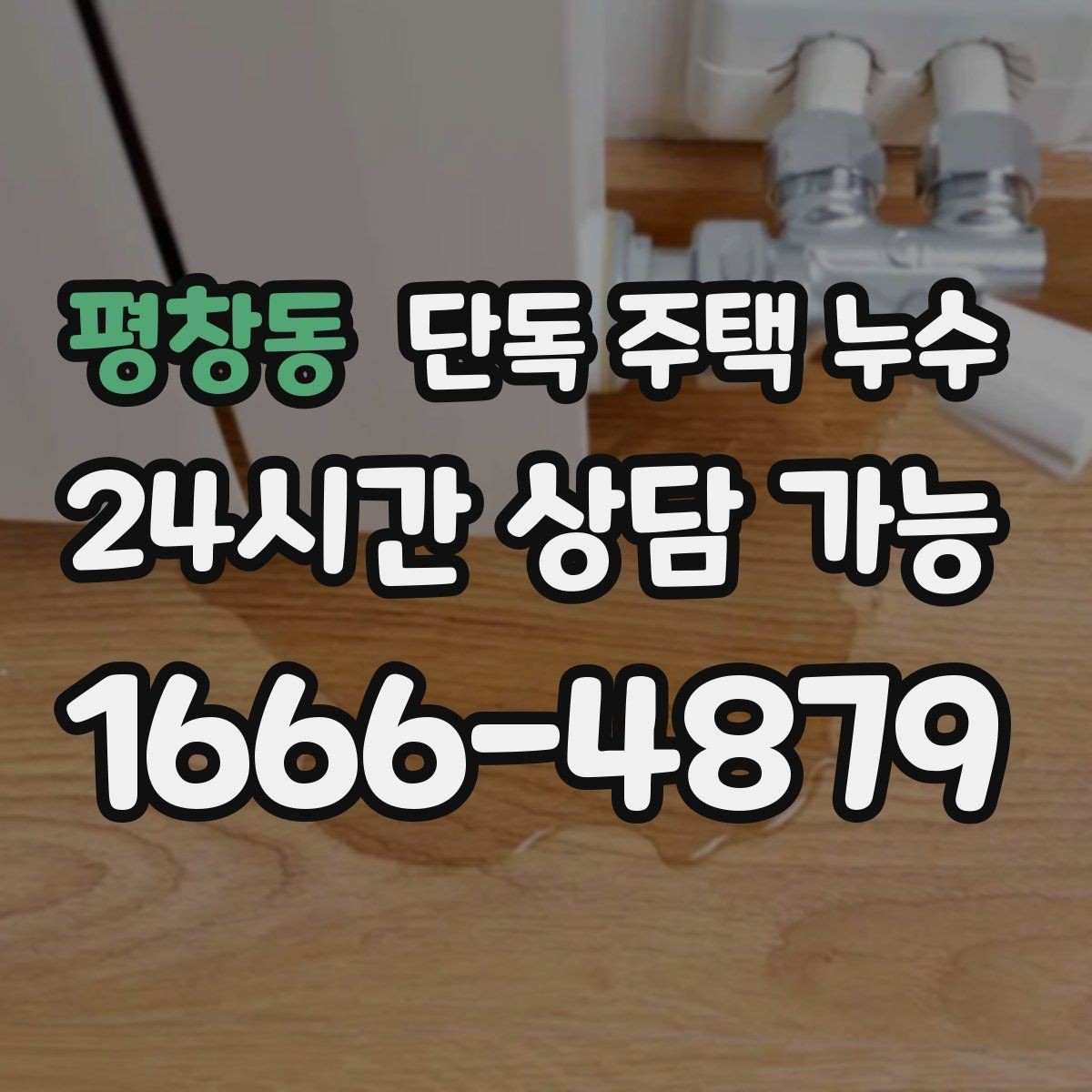평창동 단독 주택 누수 담장 쪽 물고임이 벽으로 스며드는 경우