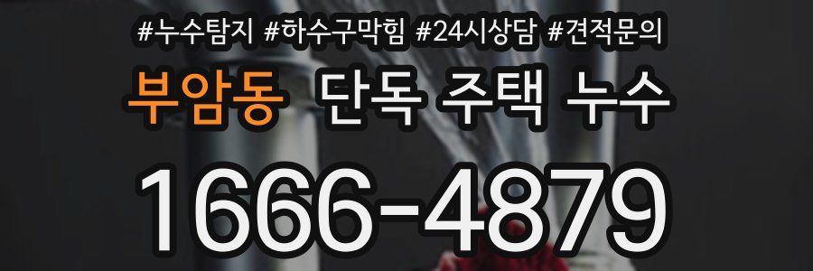 부암동 단독 주택 누수