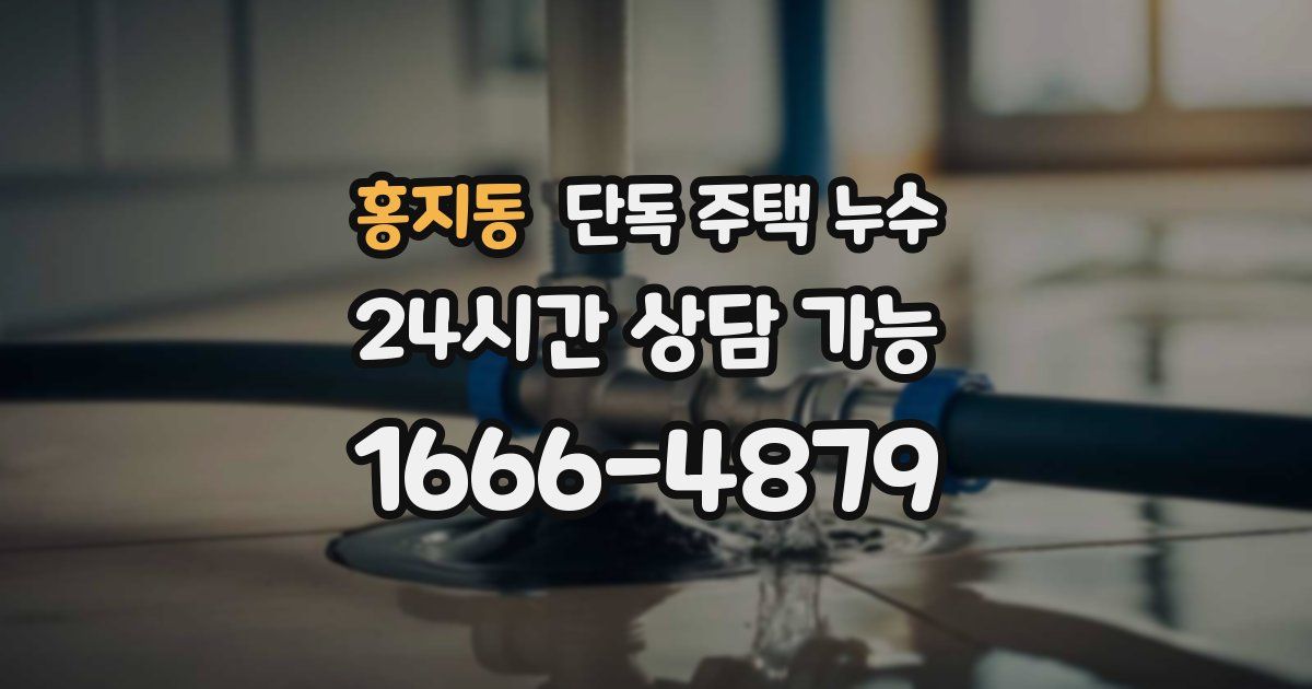 홍지동 단독 주택 누수