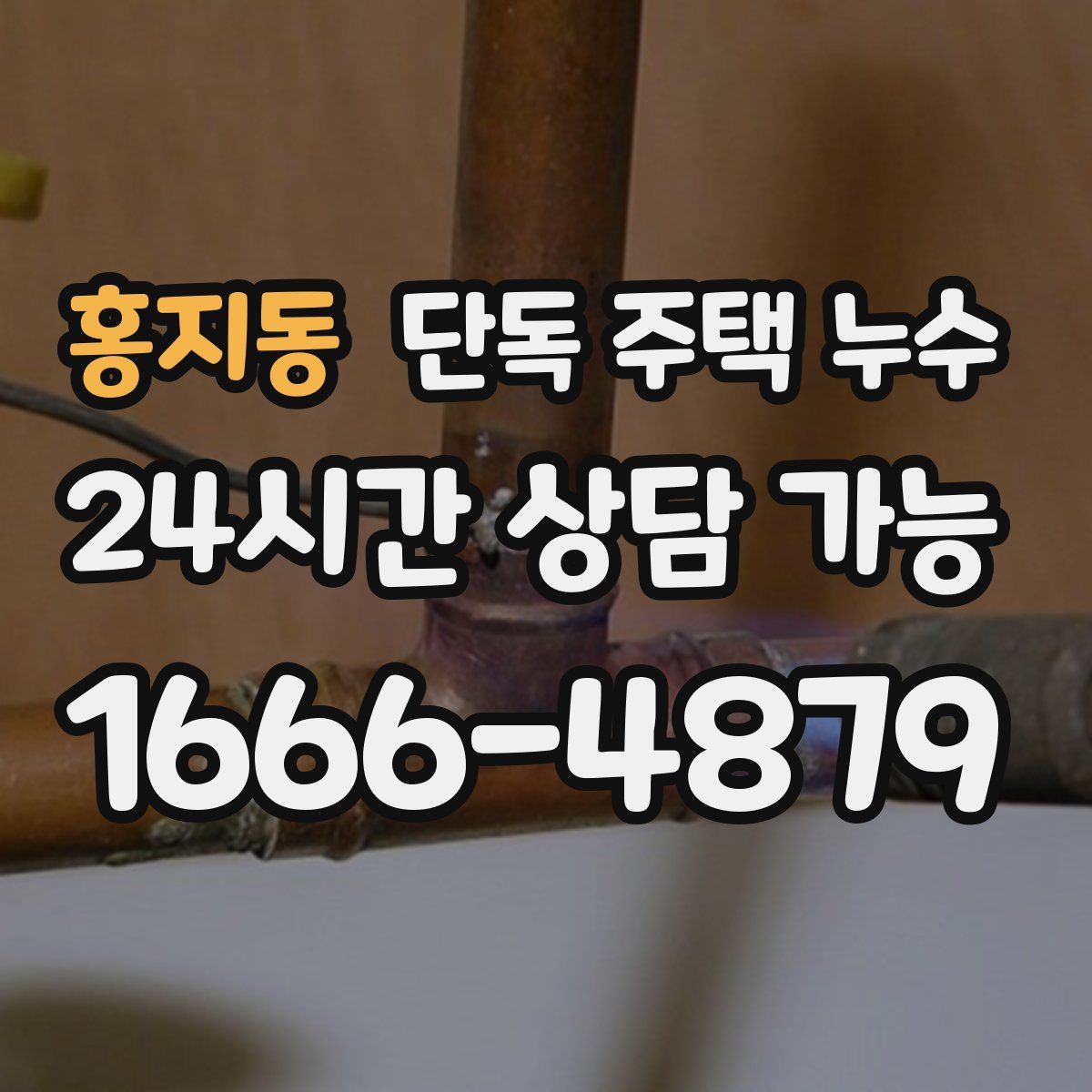 홍지동 단독 주택 누수