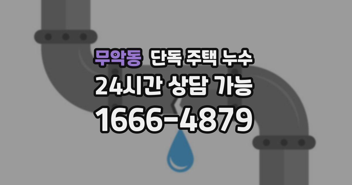 무악동 단독 주택 누수