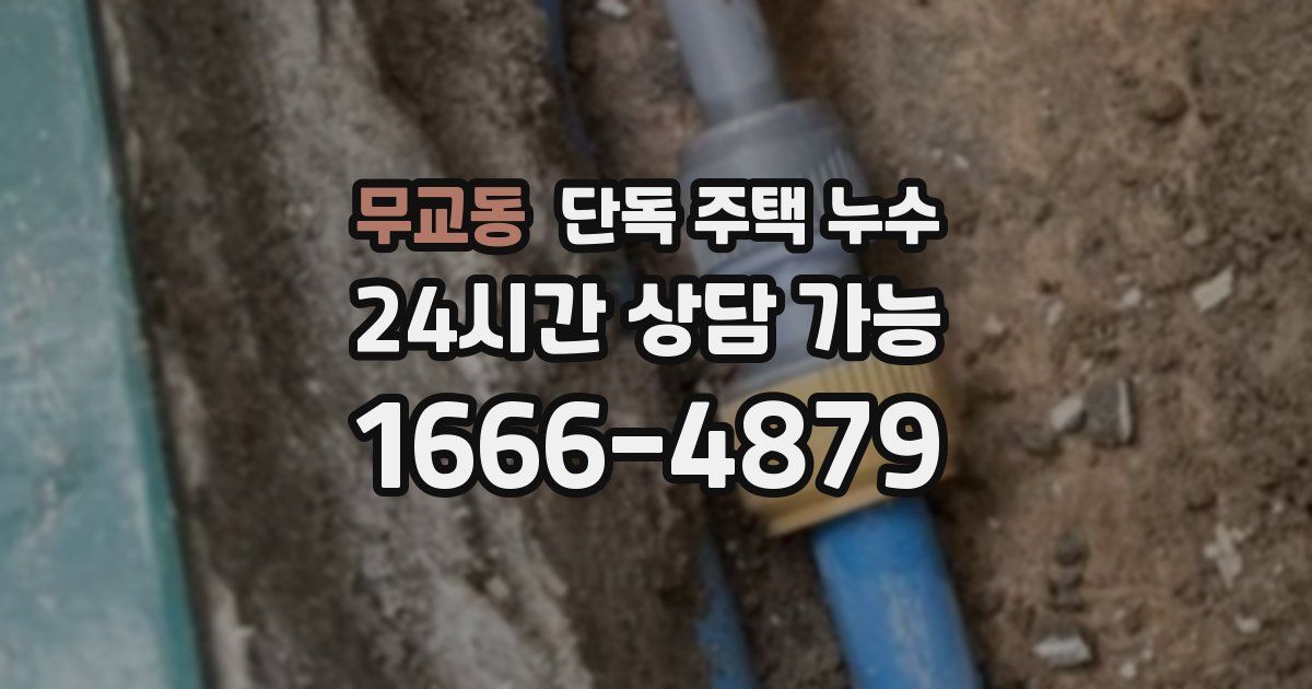 무교동 단독 주택 누수