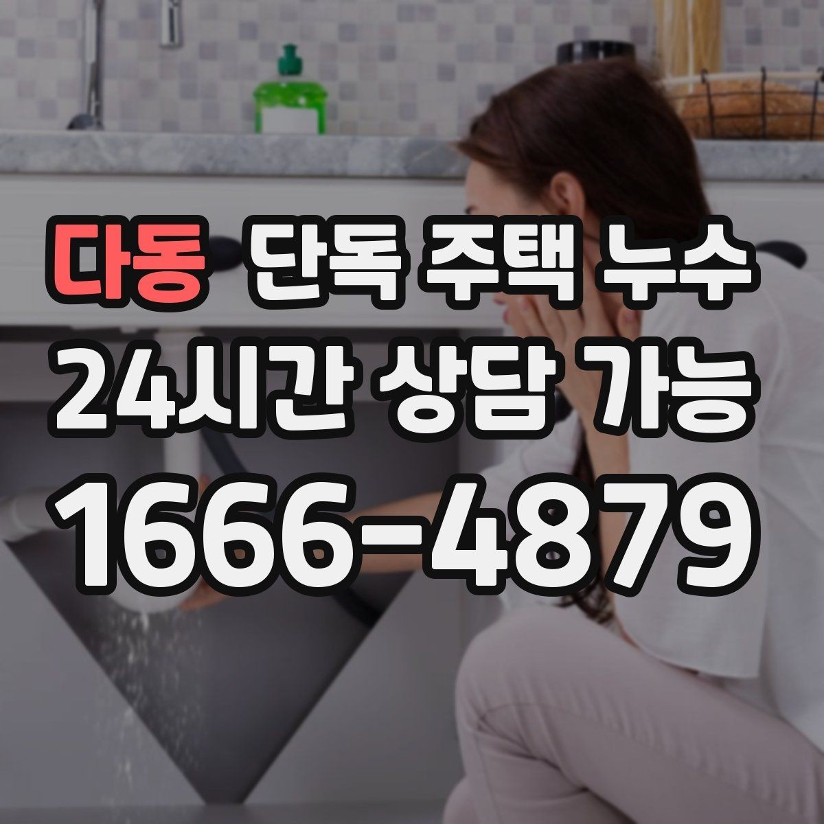 다동 단독 주택 누수 배수관 누수로 악취와 습기가 함께 날 때