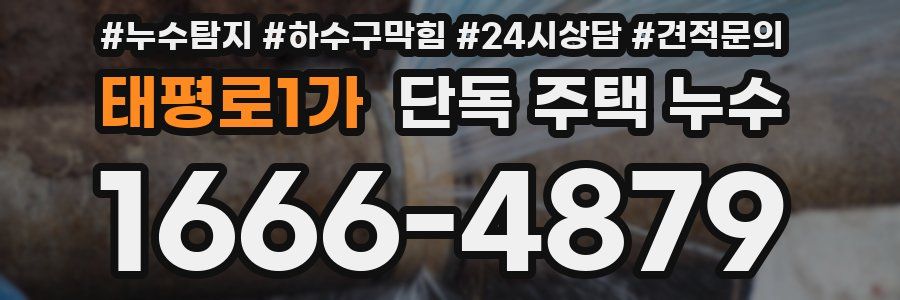 태평로1가 단독 주택 누수