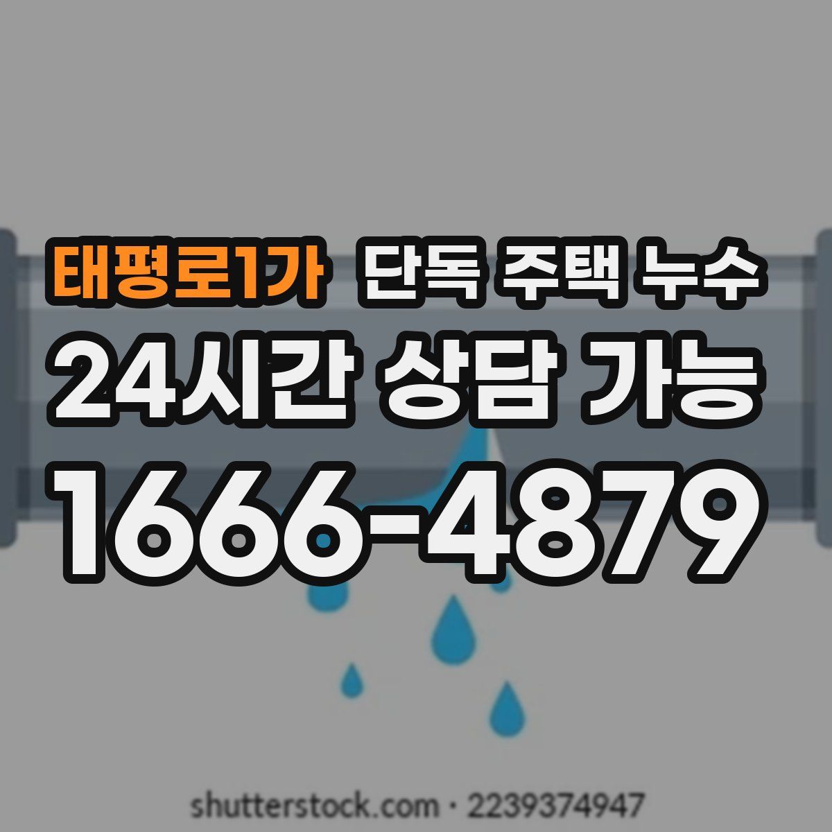 태평로1가 단독 주택 누수
