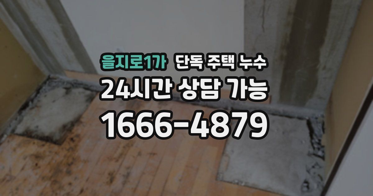 을지로1가 단독 주택 누수