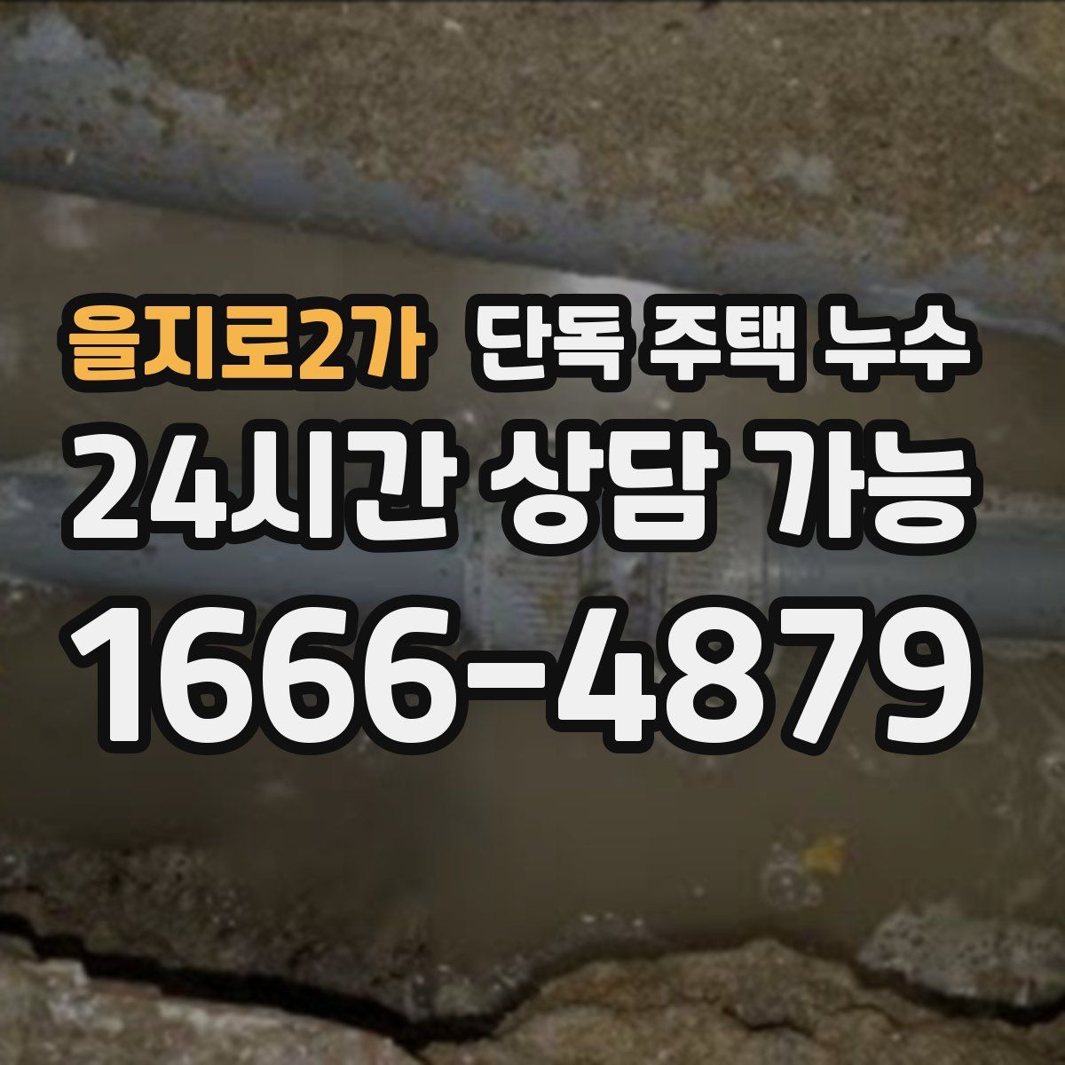을지로2가 단독 주택 누수