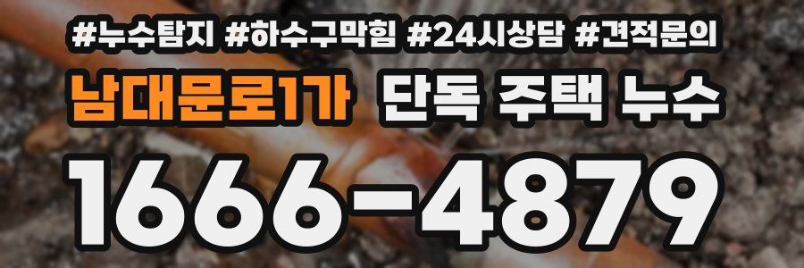 남대문로1가 단독 주택 누수