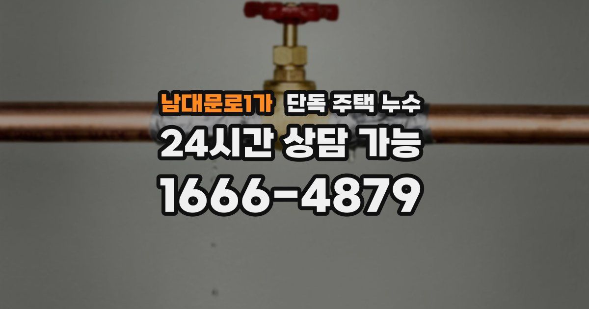 남대문로1가 단독 주택 누수