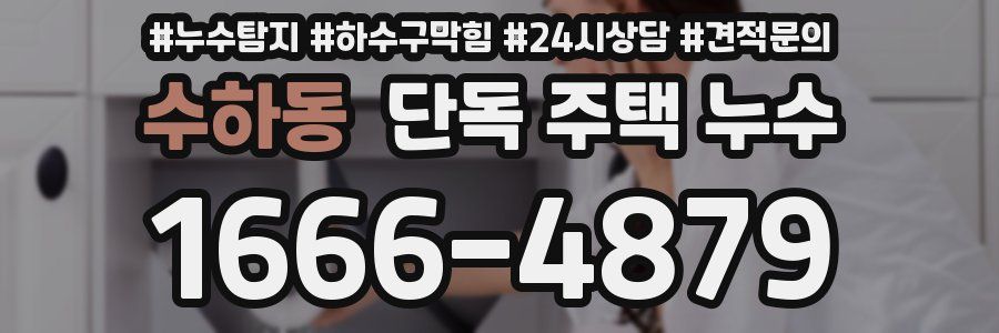 수하동 단독 주택 누수