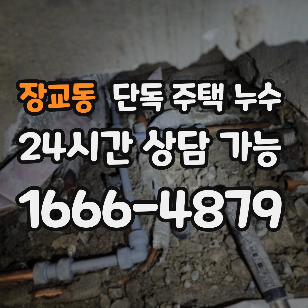 장교동 단독 주택 누수