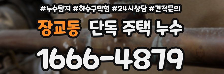 장교동 단독 주택 누수