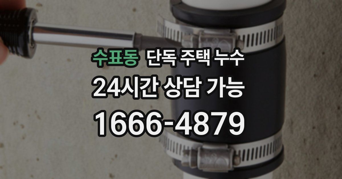 수표동 단독 주택 누수