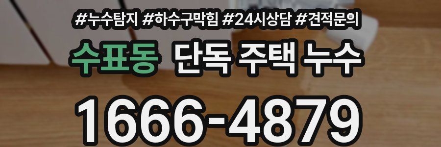 수표동 단독 주택 누수