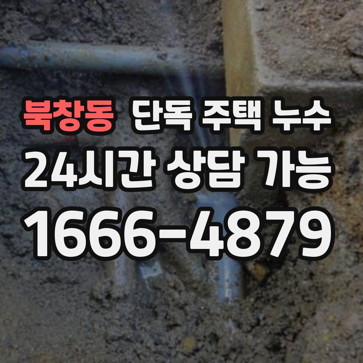 북창동 단독 주택 누수