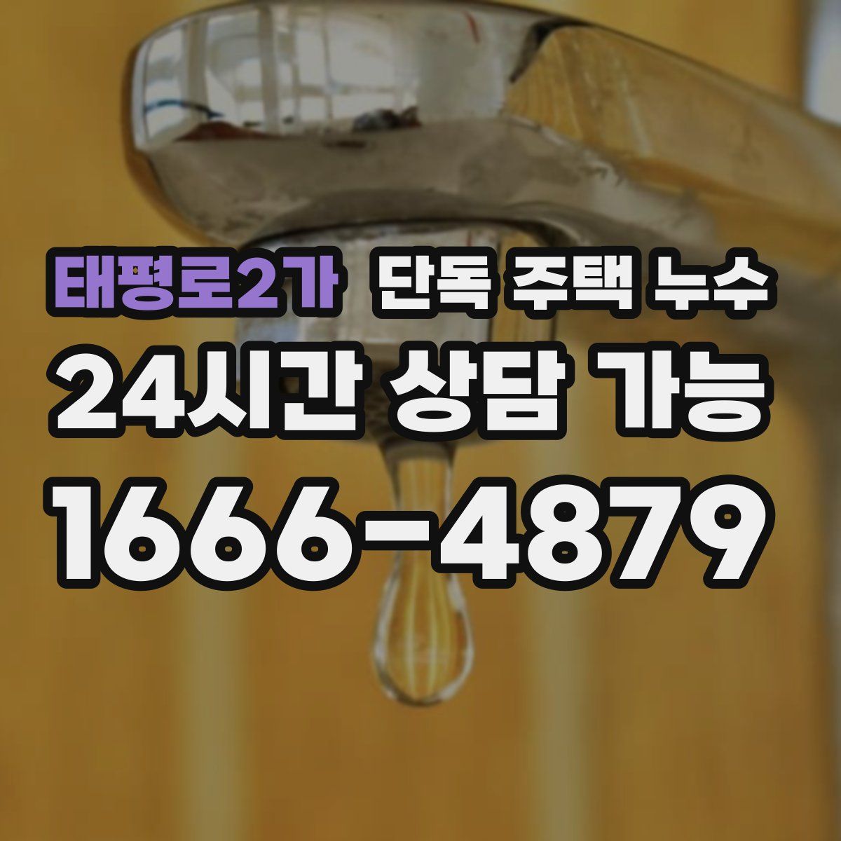 태평로2가 단독 주택 누수