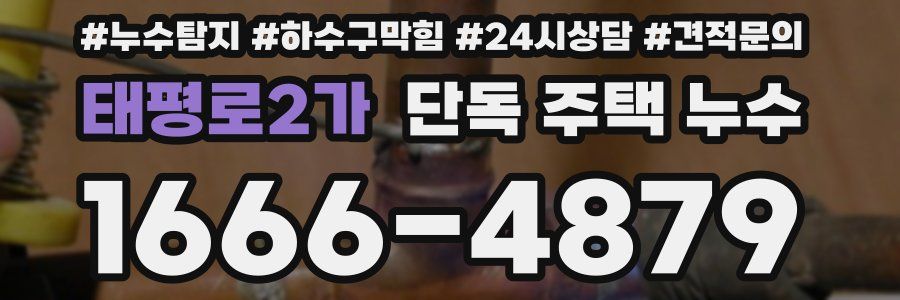 태평로2가 단독 주택 누수